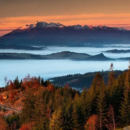 Comfortable In The Mountains, Sauna *
