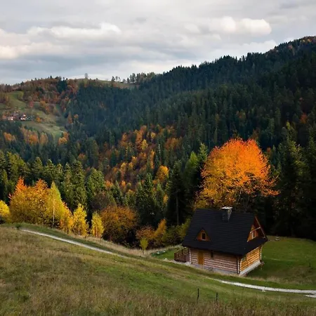 Comfortable In The Mountains, Sauna *